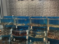 水产区-仙螺岛海鲜自助餐厅(总店)