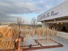 -Blue Concept Cafe&Farm·關於藍
