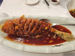 全节黄瓜鱼-聚春园自助餐厅(东街口店)