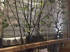 -一轩饺子馆(丽都店)