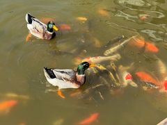 -天目湖涵田半山温泉