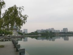 -聚龙湖公园