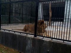 -广东茂名森林公园