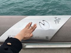 -星光大道