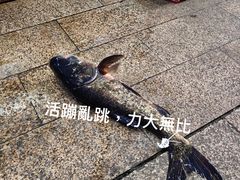 -好灶头妈妈菜·千岛湖土菜地标美食
