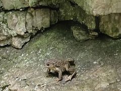 -九龙潭景区