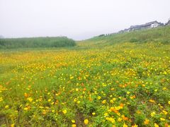 -木洞河街