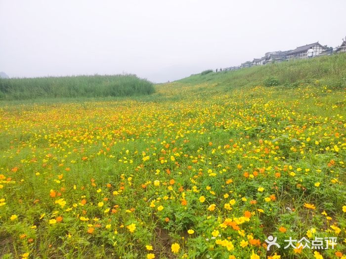 木洞河街图片