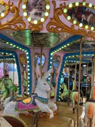 -卡通尼·Safari非洲探索乐园·生日会(金桥国际商业广场店)