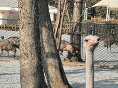 -无锡动物园·太湖欢乐园