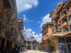 -长白山万达喜来登度假酒店