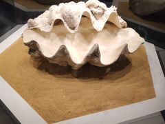 -贝林大翅鲸简餐厅(国家海洋博物馆店)