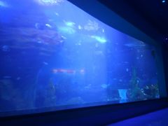 -多彩贵州城极地海洋世界