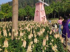 -顺峰山公园