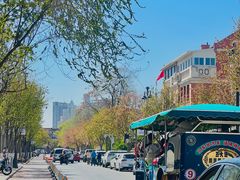 -天津五大道文化旅游区