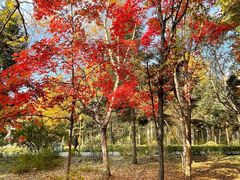 -长春市南湖公园