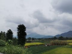 -海窝子古镇