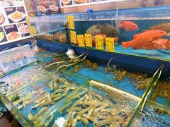 -粤盛海鲜平价店(洛溪食街店)