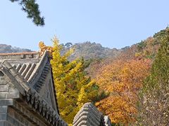 -妙峰山风景名胜区