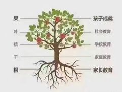-真棒幼儿识字·阅读(梅江校区)