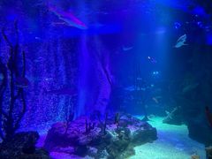 -沈阳海洋探索中心