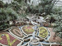 -南山植物园
