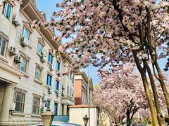 -天津五大道文化旅游区