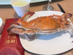 -天天鱼港·海鲜·鲅鱼水饺·招牌烤鸭(黄骅店)