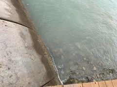 -东疆建设开发纪念公园