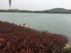 -羊山湖公园
