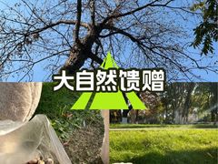 -堤角公园