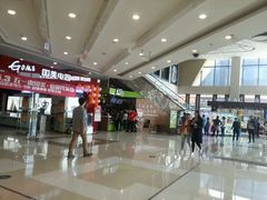 -黑龙茶HEYLONGCHA