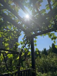 -雪绒花月子会所(祥盛店)