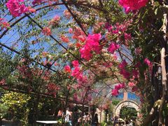 -The Grounds of Alexandria