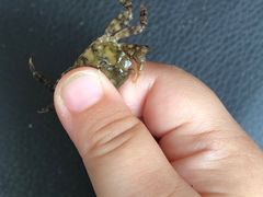 -青岛银沙滩