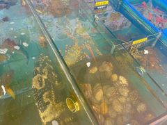 水产区-七鲜渔港美食餐厅(巽寮湾海景店)