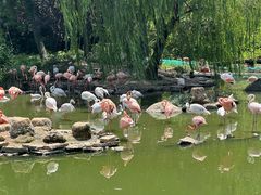 -宁波野生动物园