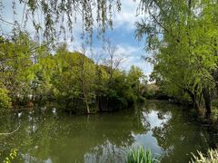-同里国家湿地公园