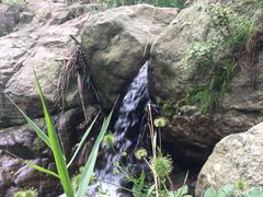 -鲁山国家森林公园