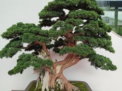 -云间粮仓
