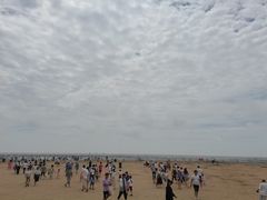 -奉贤海滩