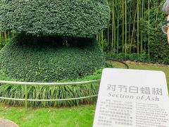 -苏州河梦清园环保主题公园