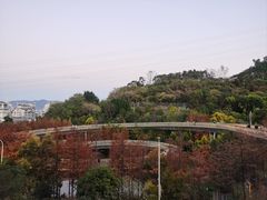 -福道