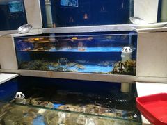 水产区-深海800米海鲜自助(万达广场店)