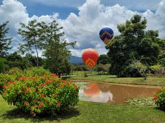 -中国科学院西双版纳热带植物园