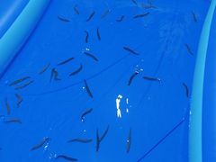 -奇乐全日制婴儿学校·早教