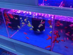 -双季花艺园艺市场(浦东店)