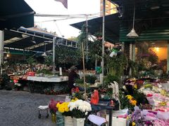 -曲阳花鸟市场(曲阳路店)