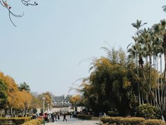 -集美学村