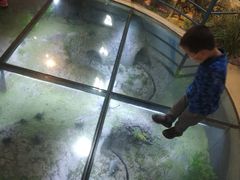 -陕西自然博物馆